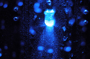 Water Lights 2006